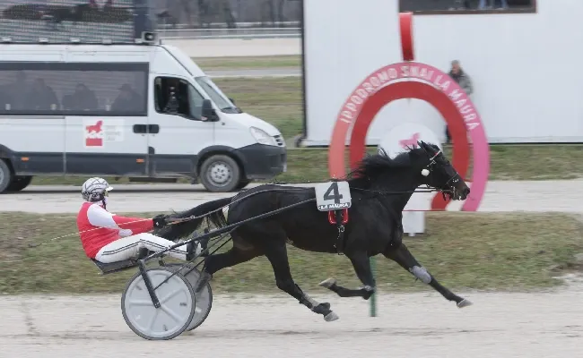 Ippics, sabato all’Ippodromo Snai La Maura per la prima giornata di trotto nel mese di marzo in ricordo di Maurizio Schettino. A bordo pista tanta animazione per i bambini