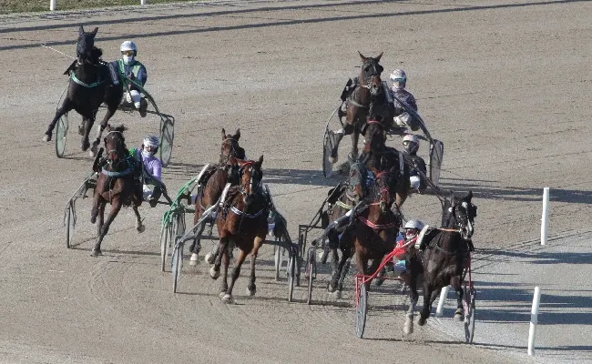 Ippica, all’Ippodromo Snai San Siro domenica di trotto da non perdere con il Gran Premio Encat