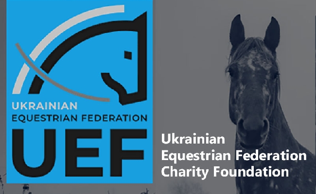 Ippica creato un hub in Polonia per la gestione degli aiuti a sostegno della comunità equestre ucraina