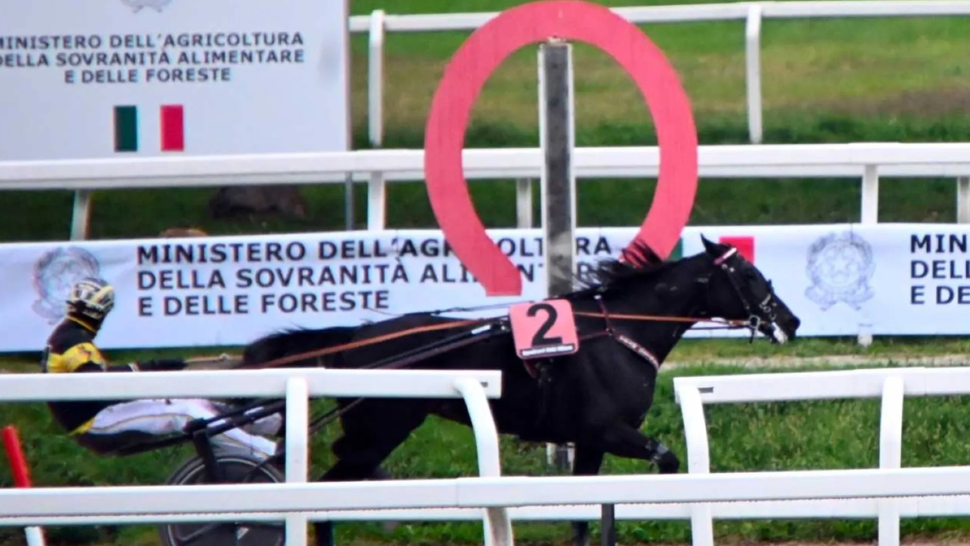 Ippica, all’Ippodromo Snai San Siro venerdì di trotto con al centro le tre batterie A.N.A.C.T. Stakes Plus+: conferme da Leonia Dance, Lotteria e Lit The Fire Gio