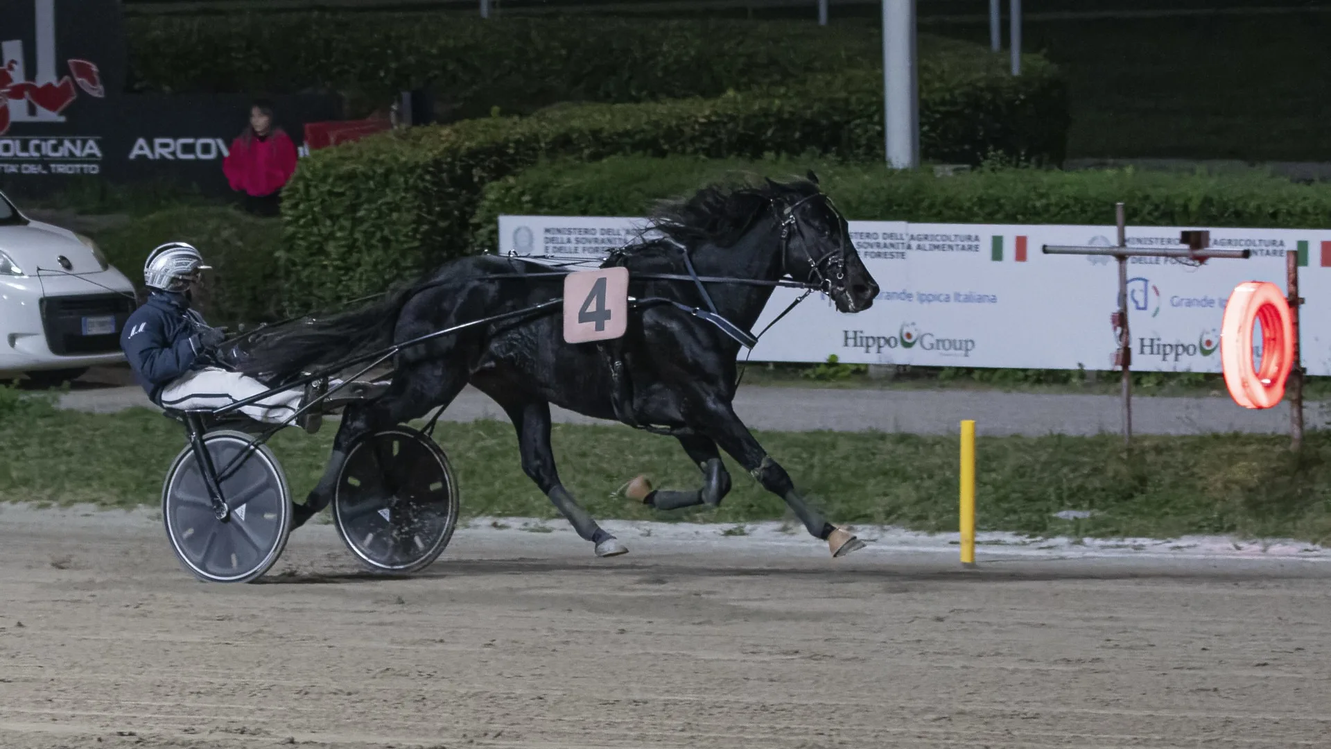 Ippodromo di Bologna: domenica 18 ottobre, otto corse con il clou nel mirino di Dorotea