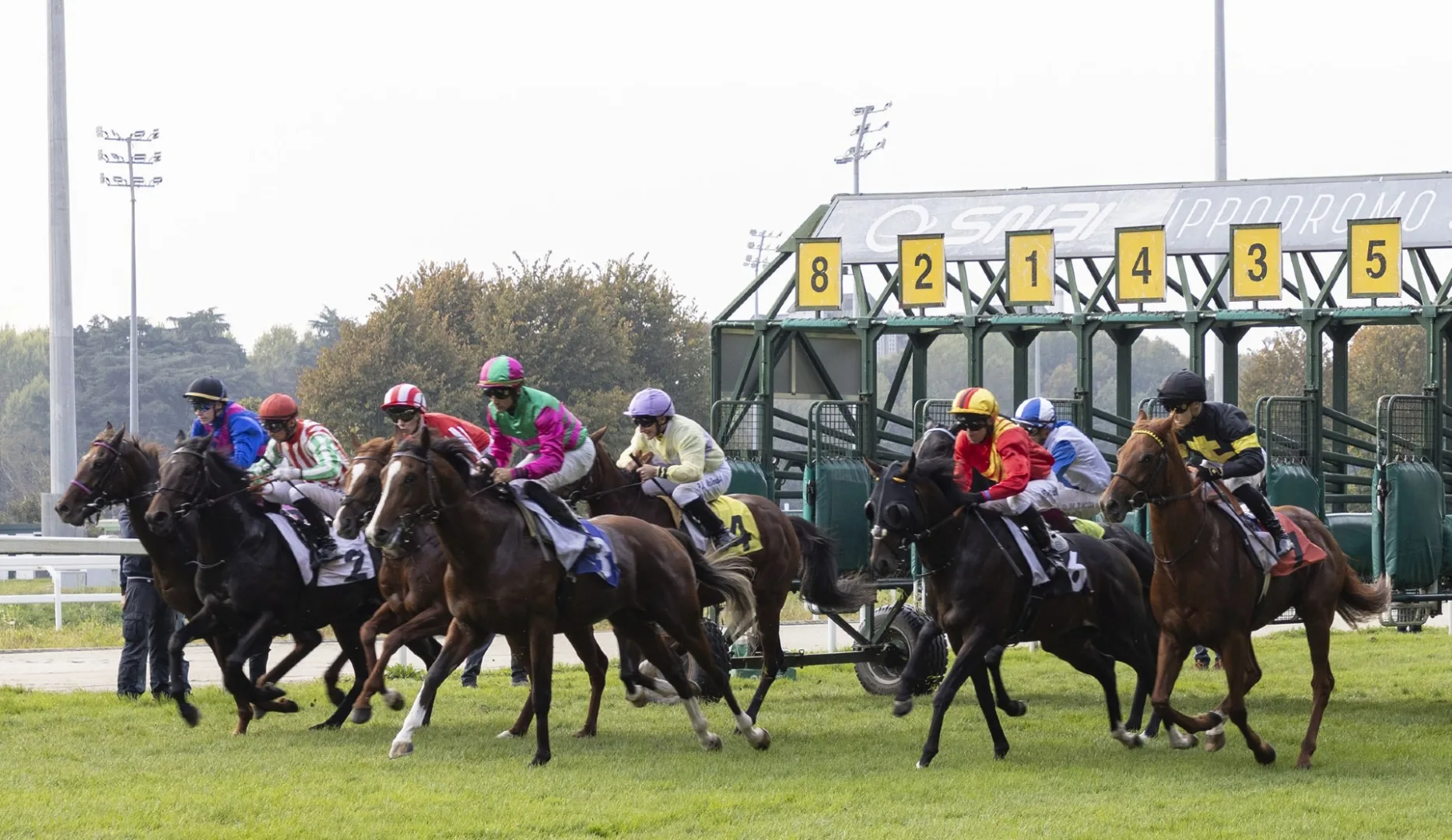 Ippica, all'Ippodromo Snai San Siro domenica di galoppo con il Premio Verziere e il Campobello. Il 24 il Dormiello e il Gran Criterium