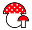 Funghi