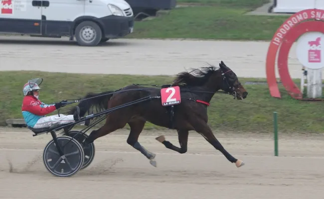Ippica: all’Ippodromo Snai La Maura domenica da incorniciare per Pietro Gubellini, autore di un poker di vittorie compreso il Premio Princess Grif con Calvados Bi