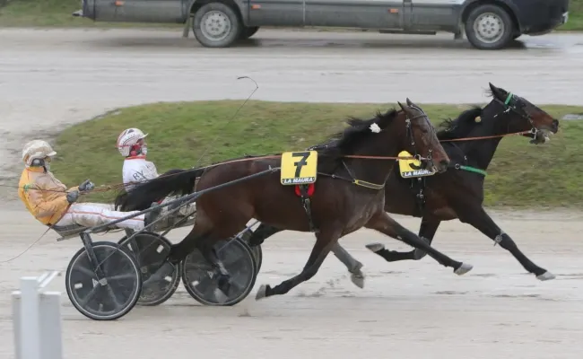 Ippica, domenica all’Ippodromo Snai La Maura con l’ultima giornata di corse di gennaio