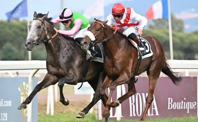 Ippica, Capannelle: domenica 19 marzo due listed in programma, in pista il campione Tempesti