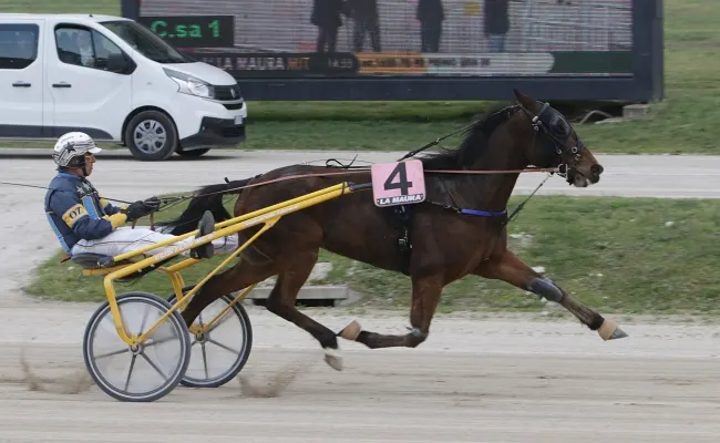 Ippica, Barnaba Baba mette le ali e vince il Premio Uxia Ek nel bel venerdì all'Ippodromo Snai La Maura