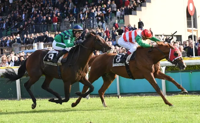 Ippica, Capannelle: domenica 16 aprile in programma il Premio San Giuseppe