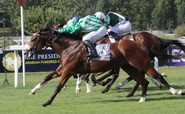 Ippica, venerdì ultima riunione di galoppo all’Ippodromo Snai San Siro prima della pausa estiva interamente dedicata alle amazzoni e ai cavalieri