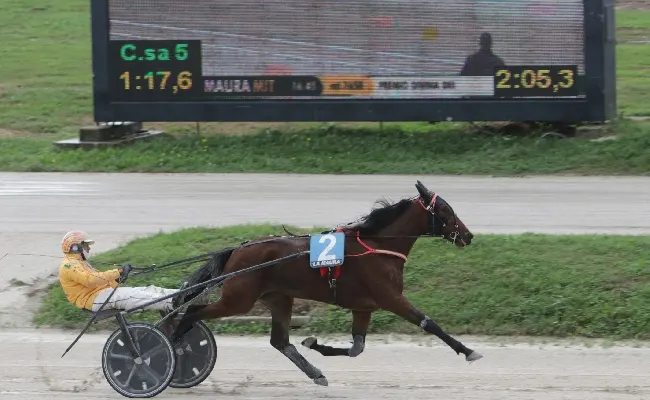 Ippica, nel venerdì di trotto all’Ippodromo Snai La Maura, Catullo Jet vince sotto la pioggia il Premio Nad Al Sheba, mentre Elalunadisse Bigi fa suo il Premio Akela Pal Ferm