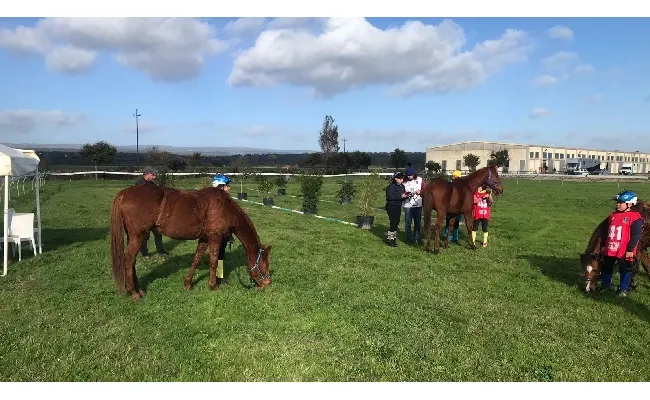 Endurance Pony: le giovanissime amazzoni dominano il campionato regionale, vittorie per Cuccuru, Cambule, Senette e Dettori