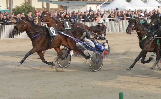 Ippica: l’Ippodromo Snai La Maura apre al weekend ippico a Milano con il venerdì di trotto in onore della Scuderia Luccio Zucchetti