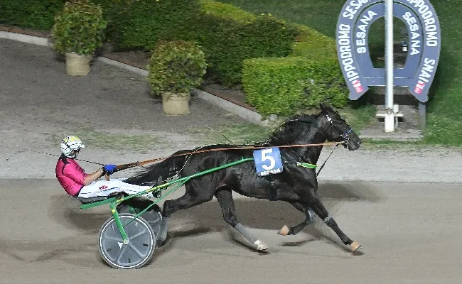 Ippica: all’Ippodromo Snai Sesana Fastday Prav vince la prova clou della serata per il Premio Asso Hotel Confesercenti