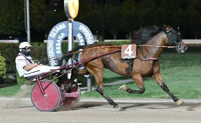Ippica, all'Ippodromo Snai Sesana il mercoledì è tutto di Goldwin Cr che vince il Premio Centro Ippico La Pieve, la prova Maiden per i puledri. Sabato 7 la prossima riunione con il concerto in onore di Battisti e Mogol