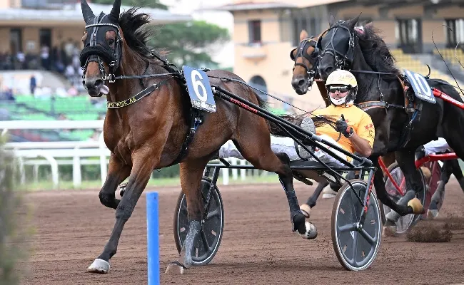 Ippica, Ippodromo Capannelle: sabato 21 batterie del Derby Italiano del Trotto e delle Oaks