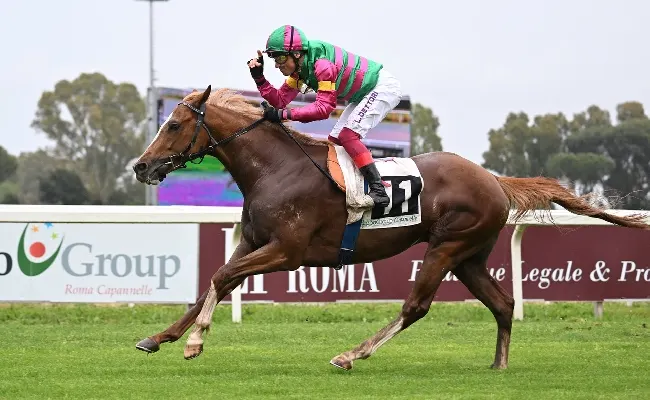 Ippica, ancora un vivace weekend di corse all’Ippodromo Capannelle in attesa del Derby di trotto e le Oaks in programma domenica 13 ottobre