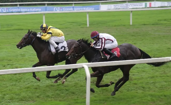 Ippica, all'Ippodromo Snai San Siro vittoria pazzesca di Rough Rustic nell'Handicap Limitato per i velocisti di tre anni valido per il Premio Virginio Lamberti