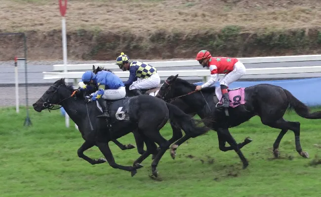 Ippica, all'Ippodromo Snai San Siro la pioggerella non ferma Luzak e Solhar che vincono le due interessanti Maiden per i due anni sulla distanza di 1800 metri