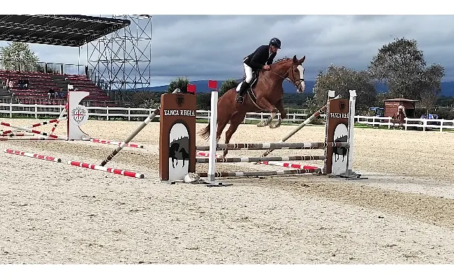 Equitazione: nella rassegna Agris per puledri di 3 anni Fair Lady Million, Favola Baia e Fuego Calliente vincono la prova di salto montato