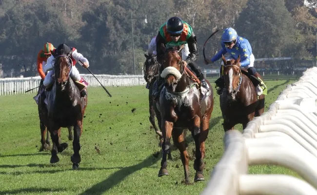Ippica, il mercoledì di galoppo all'Ippodromo Snai San Siro ospita sei corse a partire dalle ore 14:30 con in evidenza due maiden
