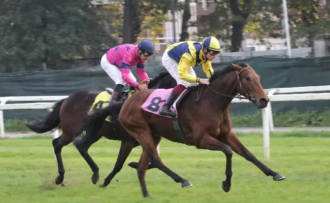 Il mercoledì di galoppo all'Ippodromo Snai San Siro conferma i favoriti Gobsmacked e Sopran Norma nelle due giornate interessanti maiden, valide per la 49^ giornata stagionale