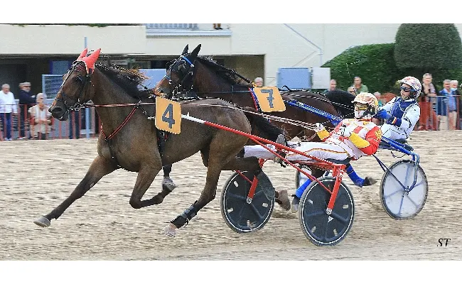 Ippica, giovedì 14 novembre all’ippodromo di Bologna soggetti blasonati nel clou. Finale con TQQ