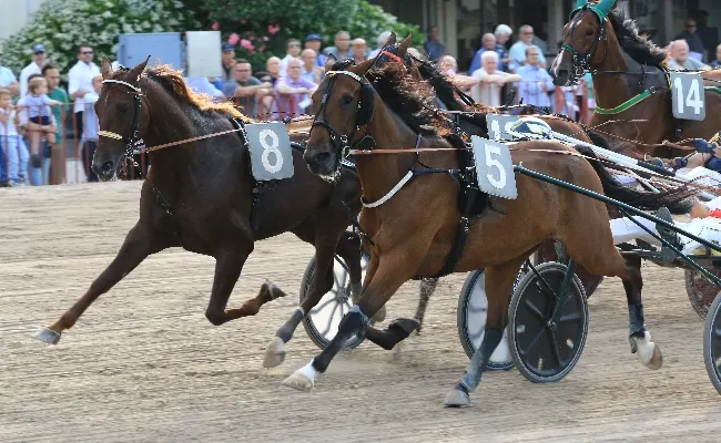 Ippica, all’ippodromo di Bologna 1° dicembre con “Natale con i cavalli”. Otto corse dalle 14.30.