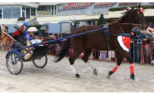 Ippica, Betflag: il 6 gennaio all'Arcoveggio di Bologna in scena il Gran Premio della Vittoria