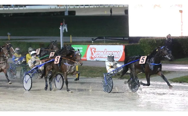 Ippica, Ippodromo Arcoveggio di Bologna: lunedì 6 gennaio sotto le Due Torri il Gran Premio della Vittoria Isibetpro - Trofeo Carlo Mantellini - e la Grande Festa della Befana