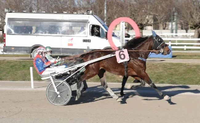 Ippica, la domenica di trotto all'Ippodromo Snai San Siro vede Caos fare le mosse giuste e vincere il premio esotico Prad