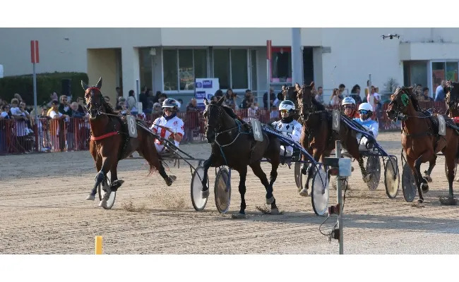 Ippica: all'ippodromo di Bologna, domenica 19 gennaio, “clou” con partecipanti di grande prestigio