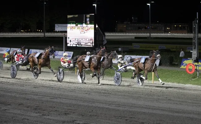 Ippica, Ippodromo Cesena: sabato è la serata del Campionato Europeo di Trotto