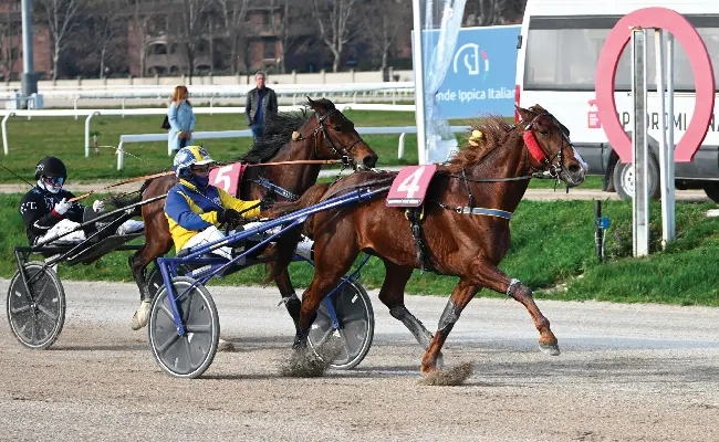 Ippica, Ippodromo Snai San Siro: il sabato di trotto premia Isengar Wise As