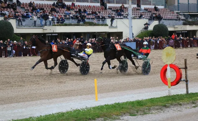 Ippica, Ippodromo Arcoveggio di Bologna: Ideal Turdance vince l'Italia maschi e segna il record della generazione