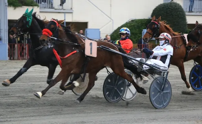 Ippica, Ippodromo Arcoveggio di Bologna: lunedì 18 maggio otto corse dalle 15:30