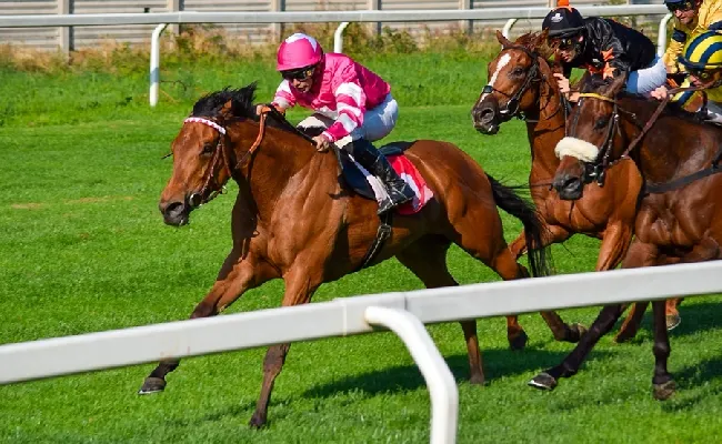 Ippica, Ippodromo Snai San Siro: galoppo, Believe In Glory vince il Nogara. Il Criterium di Roma va a Maurizio Acquaviva