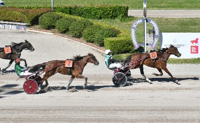 Ippica, Ippodromo Snai Sesana: trotto, sabato al via il calendario di giugno con sette corse