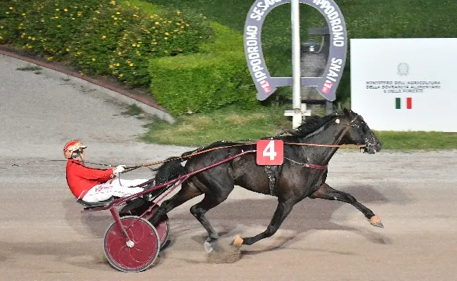 Ippica, Ippodromo Snai Sesana: mercoledì preserale di trotto nel segno di Iridio, vittoria e record