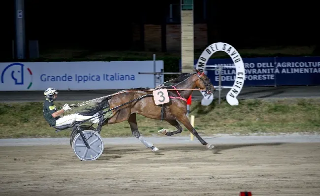 Ippica, Ippodromo Cesena: Domingo Bar vince il Premio Fattoria Nicolucci