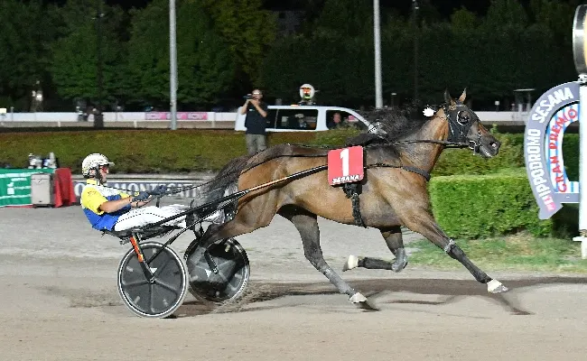 Ippica, Ippodromo Snai Sesana: nel sabato di trotto Goodbye Kiss domina il Gran Premio Nello Bellei
