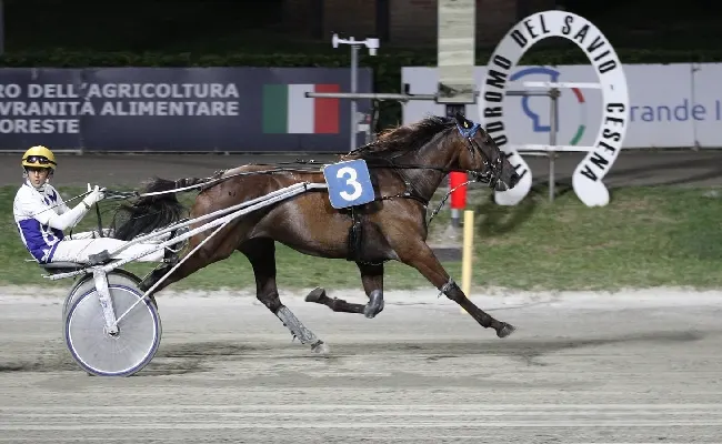Ippica, Ippodromo Cesena: sabato con sette corse, il clou è il Premio Orogel Coop