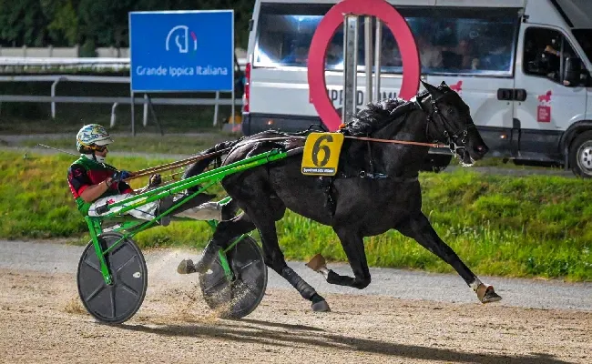 Ippica, Ippodromo Snai San Siro: mercoledì di trotto nel segno di Ippopotamo TQ, che risponde presente nel Premio Scuderia Lady M