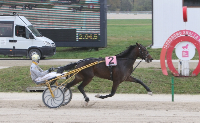 Ippica martedì ultima riunione di corse di novembre all'ippodromo Snai La Maura in attesa della Coppa di Milano del 7 dicembre