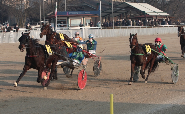 Ippica Vernissage il cavallo da battere nel Gran premio Encat su Betflag