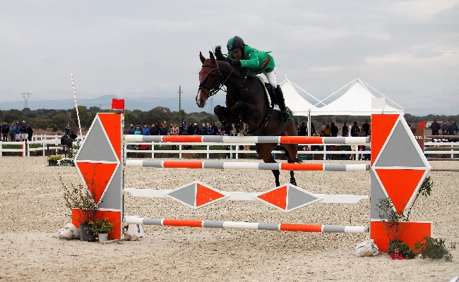 Equitazione Campionati Assoluti salto ostacoli Cervia