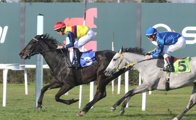 Ippica all'Ippodromo Snai San Siro corse del sabato con i debuttanti in vista dei Primi Passi a fine giugno. In programma per la prima volta il Premio Roasco