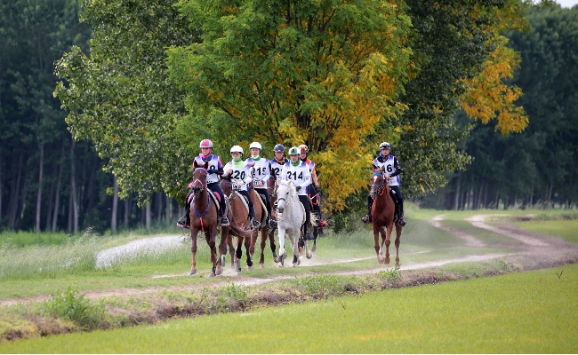 Equitazione Fei: a Verona il gotha dell'Endurance per il titolo mondiale