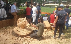 Piazza di Siena un albero abbattuto diventa un cavallo: Così trasformo il legno in un'opera d'arte
