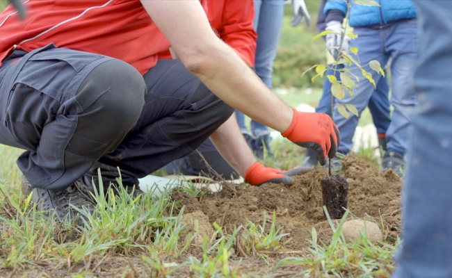 Snaitech Rete Clima forestazione urbana Italia