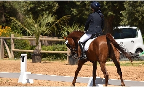 Equitazione Campionati Regionali di Dressage in Emilia Romagna: a Le Siepi per le medaglie 2022